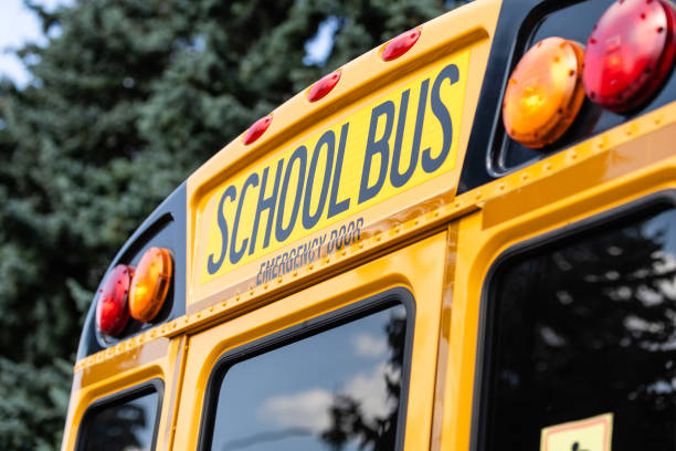 istock school bus lettering, school bus sign. 1278437153