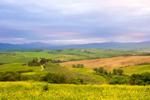 istock Val d'Orcia valley in Tuscany 1278437594
