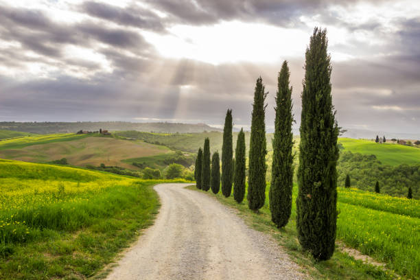 istock Val d'Orcia valley in Tuscany 1278437650