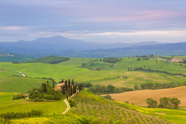 istock Val d'Orcia valley in Tuscany 1278437722