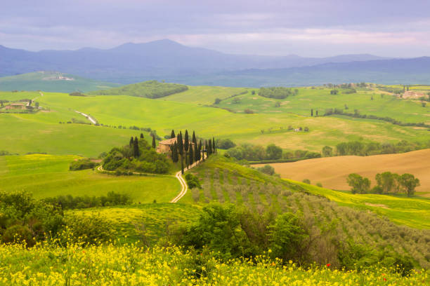 istock Val d'Orcia valley in Tuscany 1278438328