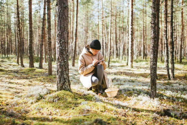istock Woman picking mushrooms in forest 1278440412