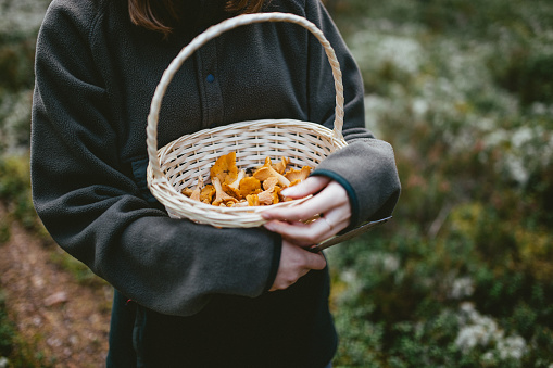 Woman holding basket with mushrooms in it.