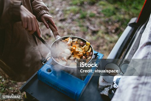 istock Cooking in nature 1278440447