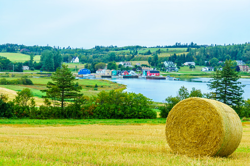 View of countryside and haystacks near French River, Prince Edward Island, Canada