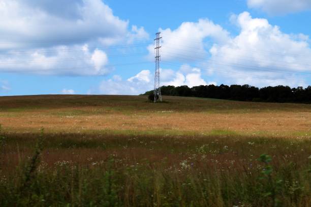 istock Electric pole in a Transylvanian meadow. 1278442414