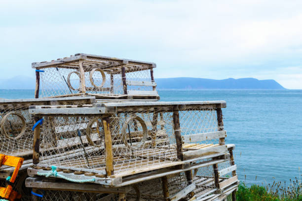 istock Lobster traps in White Point, Cape Breton 1278442783