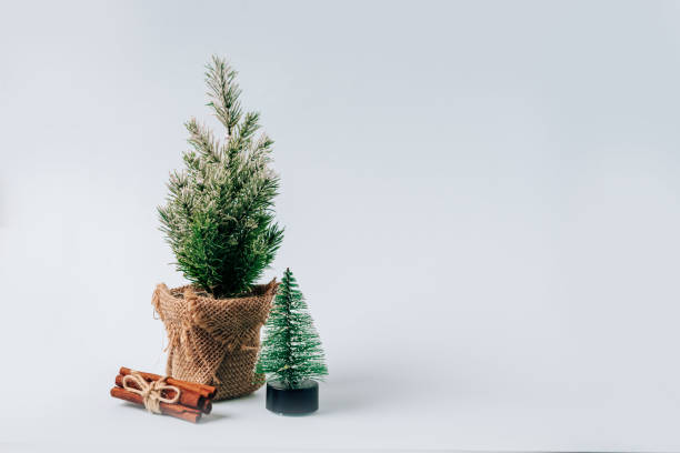 istock Winter layout with a small Christmas tree on a blue background 1278442893
