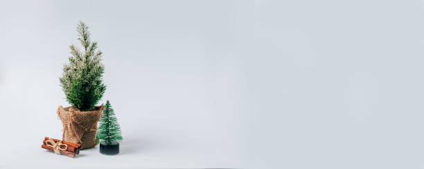 istock Winter layout with a small Christmas tree on a blue background 1278443428