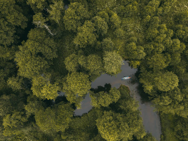 istock Green Forest. Descent by kayaks. drone photo 1278445116