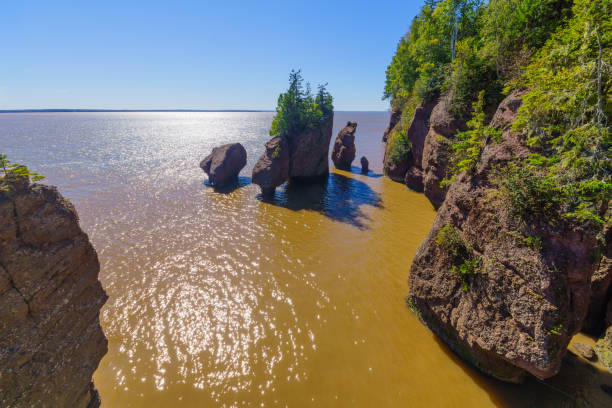 istock Hopewell Rocks at high tide 1278445229