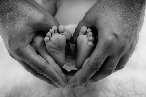 Small newborn feet in the heart-shaped hands