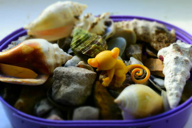 children's toy among pebbles and shells