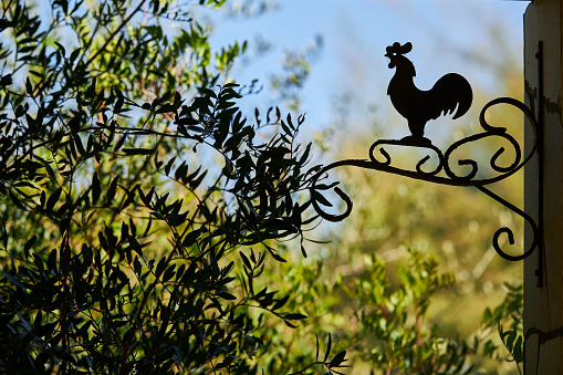 The silhouette of a metal rooster photographed against a nature backdrop. high resolution with copy space