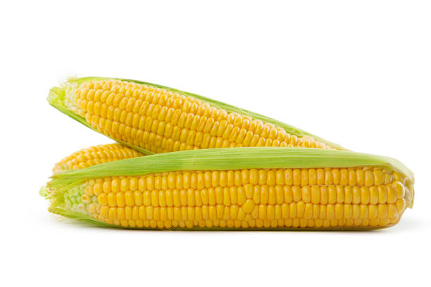 istock Corn on a white background. High quality photo 1278452769
