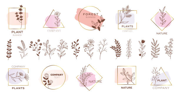 illustrazioni stock, clip art, cartoni animati e icone di tendenza di set di design moderno del logo floreale con colori pastello. - femininity