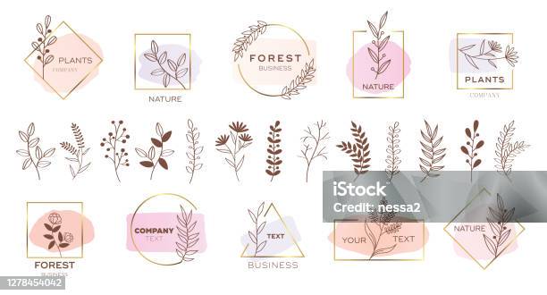 Set Of Modern Flower Logo Design With Pastel Colors Stock Illustration - Download Image Now