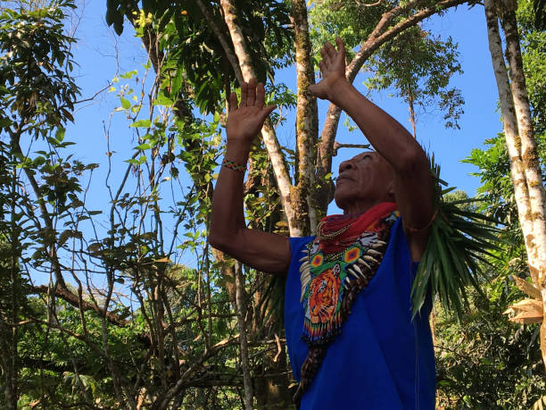 starszy rodzimy szaman narodowości cofan wykonujący rytuał uzdrawiania z rękami podniesionymi w amazońskim lesie deszczowym - indian ethnicity indian culture men portrait zdjęcia i obrazy z banku zdjęć