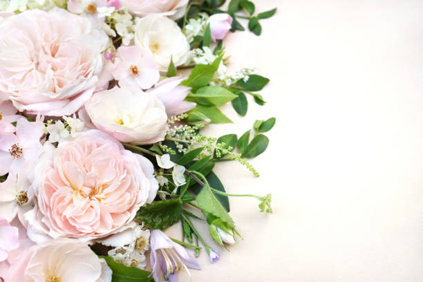 istock Delicate blossoming roses and flowers 1278456036