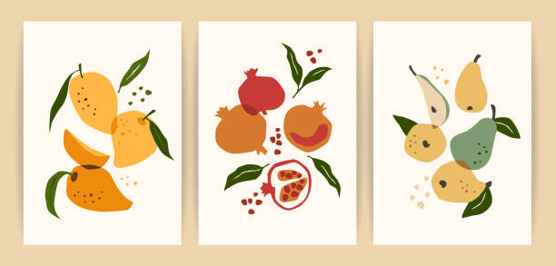 Collection of contemporary art prints. Abstract fruits. Mango, pomegranate and pear. Collection of contemporary art prints. Abstract fruits. Mango, pomegranate and pear. Modern design for posters, cards, packaging and more mango fruit drawing stock illustrations