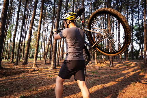 Photo of a bike rider at a pine trees forest.