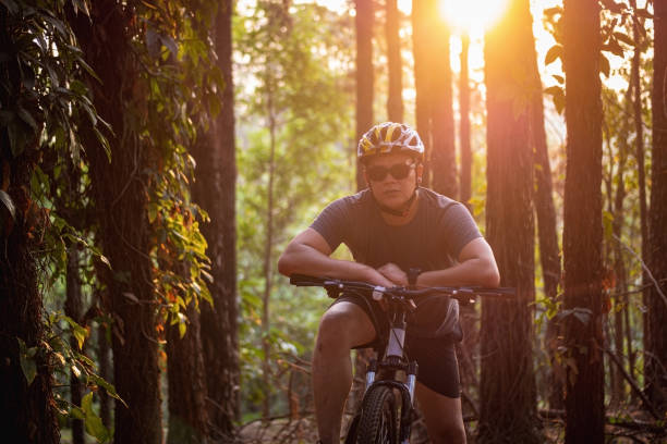 istock Bike rider at a pine trees forest. 1278460010
