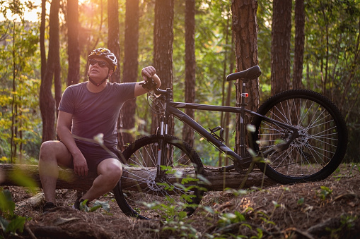 Photo of a bike rider at a pine trees forest.