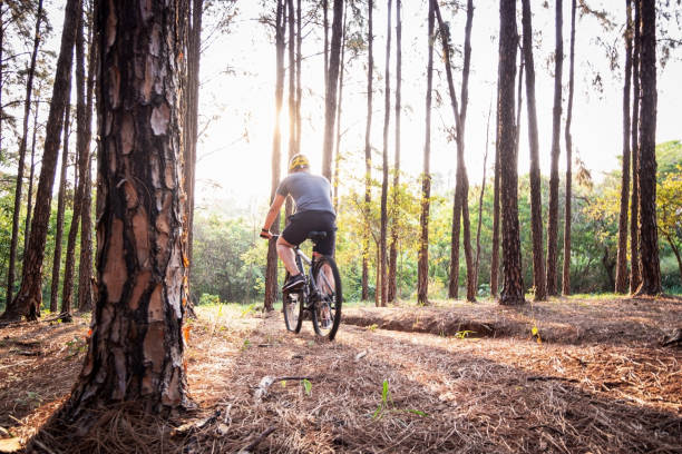 istock Bike rider at a pine trees forest. 1278460237