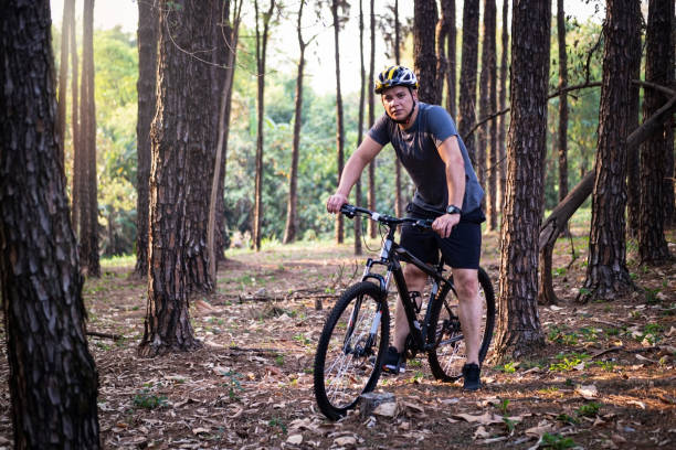 istock Bike rider at a pine trees forest. 1278460377