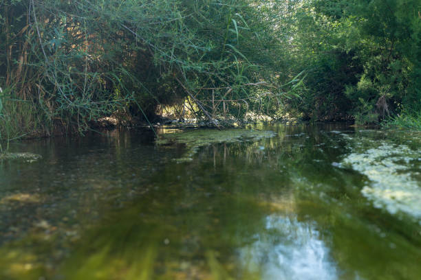 istock water flowing through a river in southern Spain 1278462715