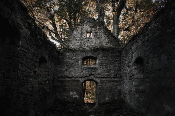 Old creepy wooden abandoned haunted mansion house building among green forest