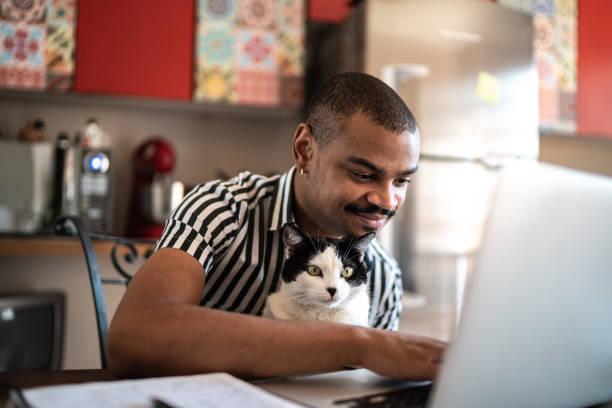 家で家で働く男は、家畜猫と一緒に - convenience using laptop laptop people ストックフォトと画像