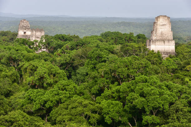 istock The Maya Temples at Tikal National Park 1278472118