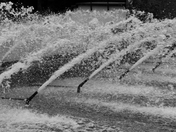 fountains in planten un blomen hamburg - blomen imagens e fotografias de stock