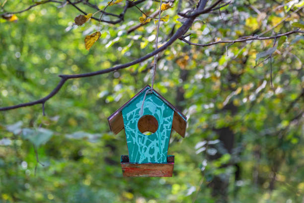 istock Empty feeder for birds in the park 1278481164