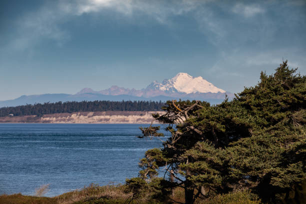 scenic mt baker in sottofondo, puget sound in primo piano - olympic peninsula foto e immagini stock