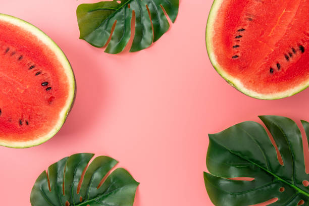 istock Watermelon with palm tree leaf on pink background. Creative minimal summer concept. 1278484999
