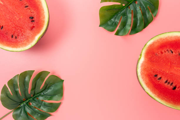 istock Watermelon with palm tree leaf on pink background. Creative minimal summer concept. 1278485003
