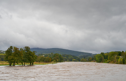 4 October 2020. Speyside, Moray, Scotland, UK This is a scen following the very heavy rainfall which has caused flooding in Speyside. PICTURE LOCATION - River Spey in spate at Aberlour