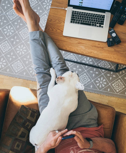 istock Man relaxing with his dog, using smart phone 1278486647