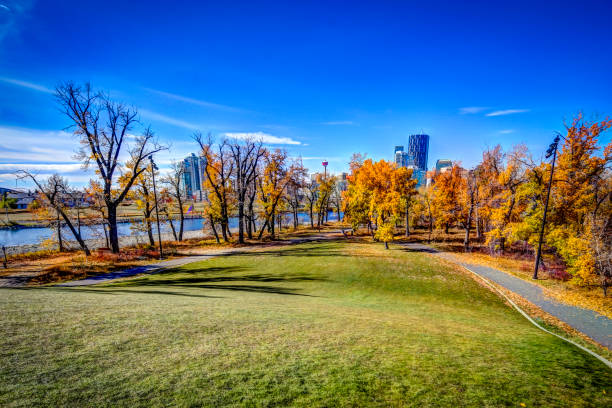 istock Fall colours in Calgary's St. Patrick's Island park along the Bow River 1278486838
