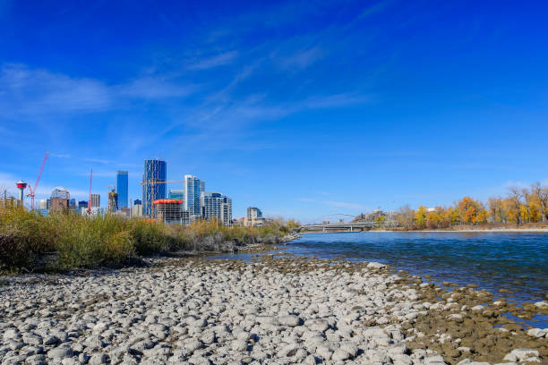 istock Fall colours in Calgary's St. Patrick's Island park along the Bow River 1278486918