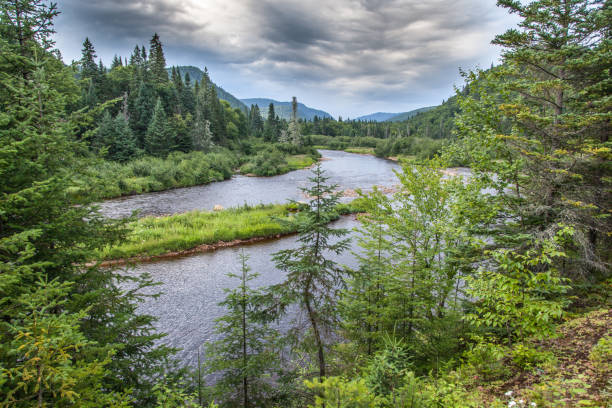 A river in Quebec.