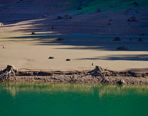 istock Oregon Quartzville Creek Roots 1278490297