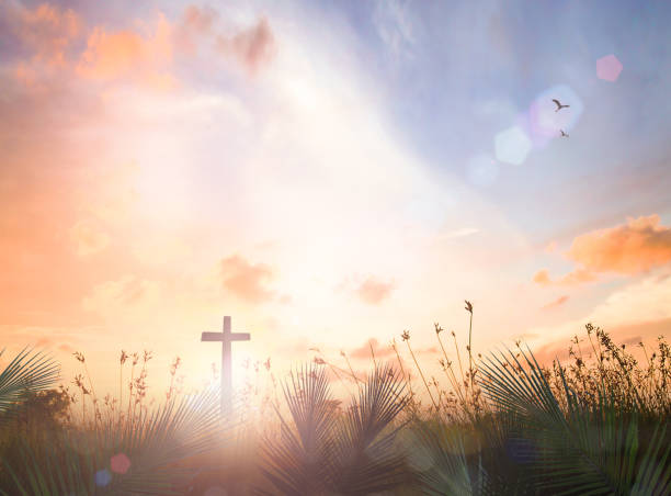 Palm Sunday concept Silhouette cross with ยalm leaf meadow sunrise background holy week photos stock pictures, royalty-free photos & images