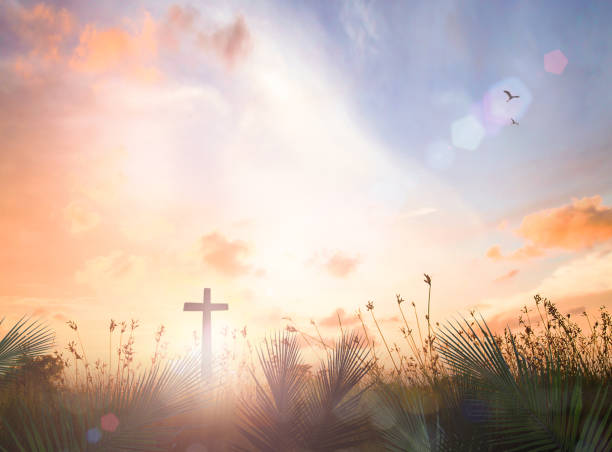 Palm Sunday concept Silhouette cross with ยalm leaf meadow sunrise background religion stock pictures, royalty-free photos & images