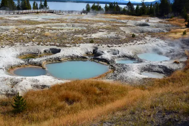 A view of the many hot springs and geysers at West Thumb Geyser Basin in Yellowstone National Park.