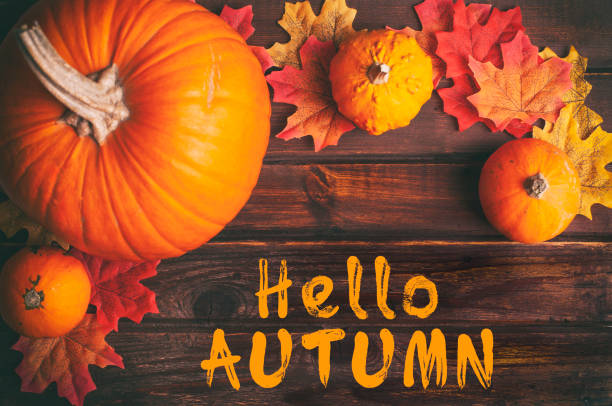 istock Autumn leaves and pumpkin on rustic wooden table 1278498220