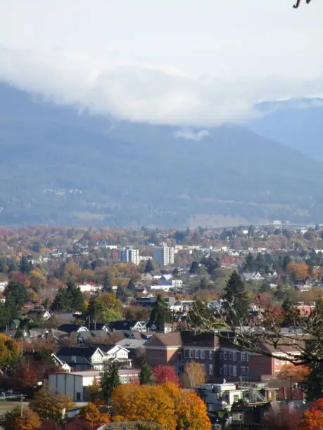 Autumn View of Vancouver's Residential Neighborhood and Downtown Buildings in a Distance from Queen Elizabeth Park, Canada, 2019