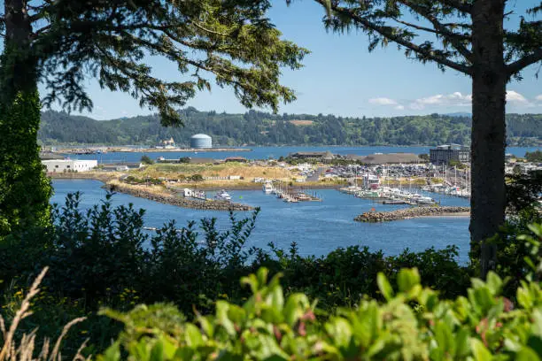 Photo of Docks and piers at the marina in Newport, Oregon during the summer